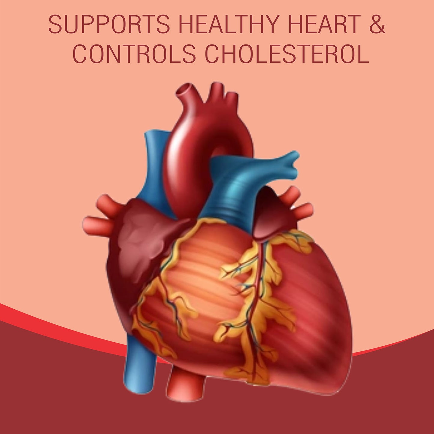 CARDIOVAS (Ayurvedic Supplements For Helps Blood Cholesterol & Sugar Level, A Powerful Blend Of Natural Ingredients Extra Strength Formula) (Copy)