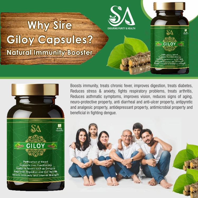 GILOY(Natural/Herbal for Blood Purification, Daily Immunity Boost & Resistance to Infections)