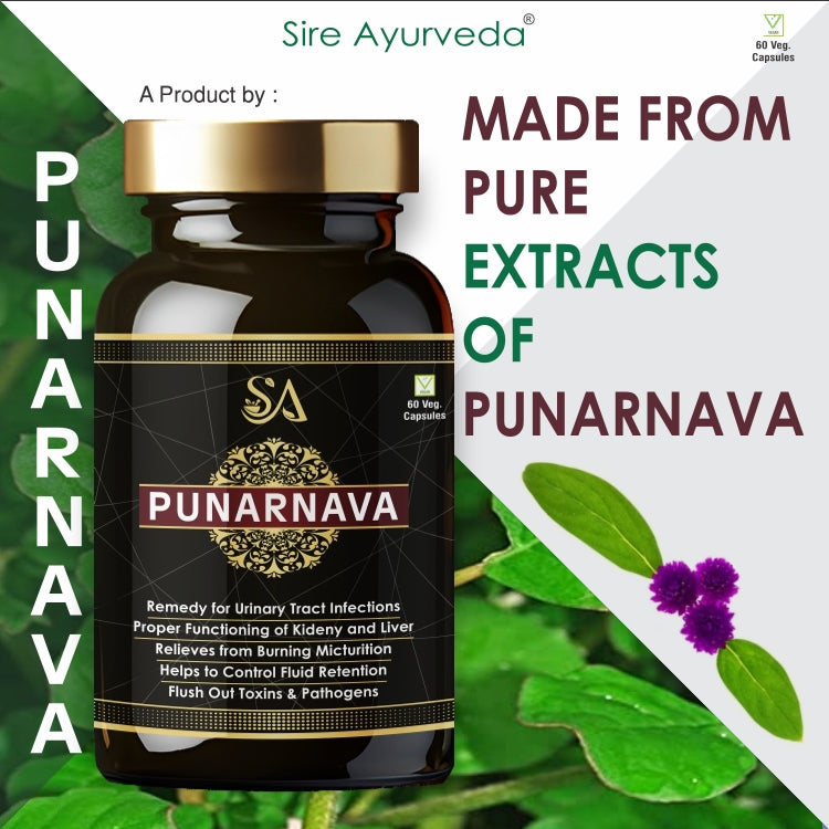 PUNARNAVA(Punarnava Capsules, With Goodness of Natural Punarnava Extract known for Good Gut Health & for Healthy Appetite, Helps for Heart and Urinary Health – 60 Veg capsules)
