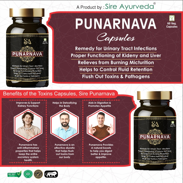 PUNARNAVA(Punarnava Capsules, With Goodness of Natural Punarnava Extract known for Good Gut Health & for Healthy Appetite, Helps for Heart and Urinary Health – 60 Veg capsules)