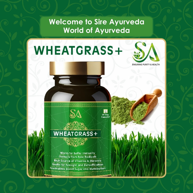 WHEATGRASS+(Effective Weight Management, Natural Detoxification, Anti-Inflammation & Energy Supplement For Men & Women)