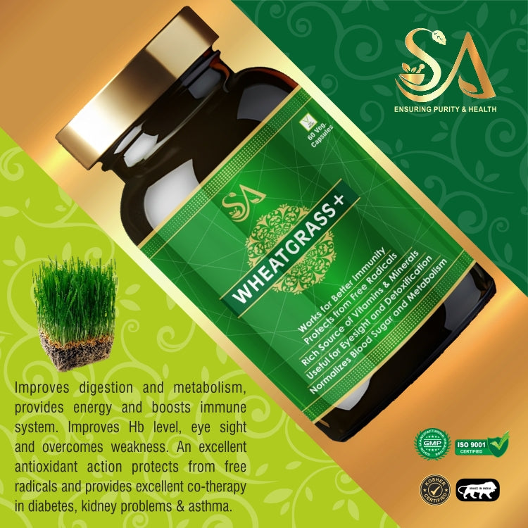 WHEATGRASS+(Effective Weight Management, Natural Detoxification, Anti-Inflammation & Energy Supplement For Men & Women)