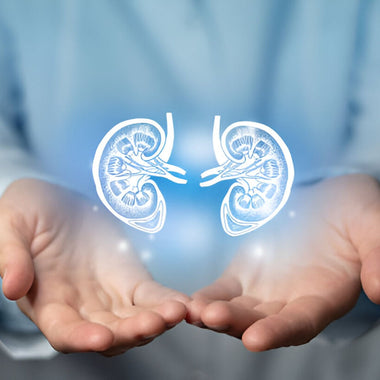 Kidney & UTI
