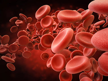 Raise Platelets