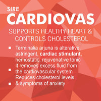 CARDIOVAS (Ayurvedic Supplements For Helps Blood Cholesterol & Sugar Level, A Powerful Blend Of Natural Ingredients Extra Strength Formula) (Copy)