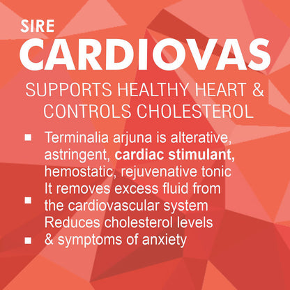 CARDIOVAS (Ayurvedic Supplements For Helps Blood Cholesterol & Sugar Level, A Powerful Blend Of Natural Ingredients Extra Strength Formula) (Copy)