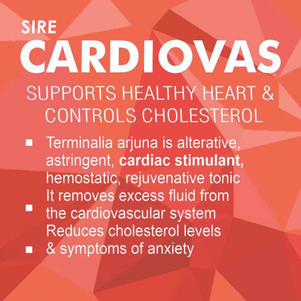 CARDIOVAS (Ayurvedic Supplements For Helps Blood Cholesterol & Sugar Level, A Powerful Blend Of Natural Ingredients Extra Strength Formula) (Copy)