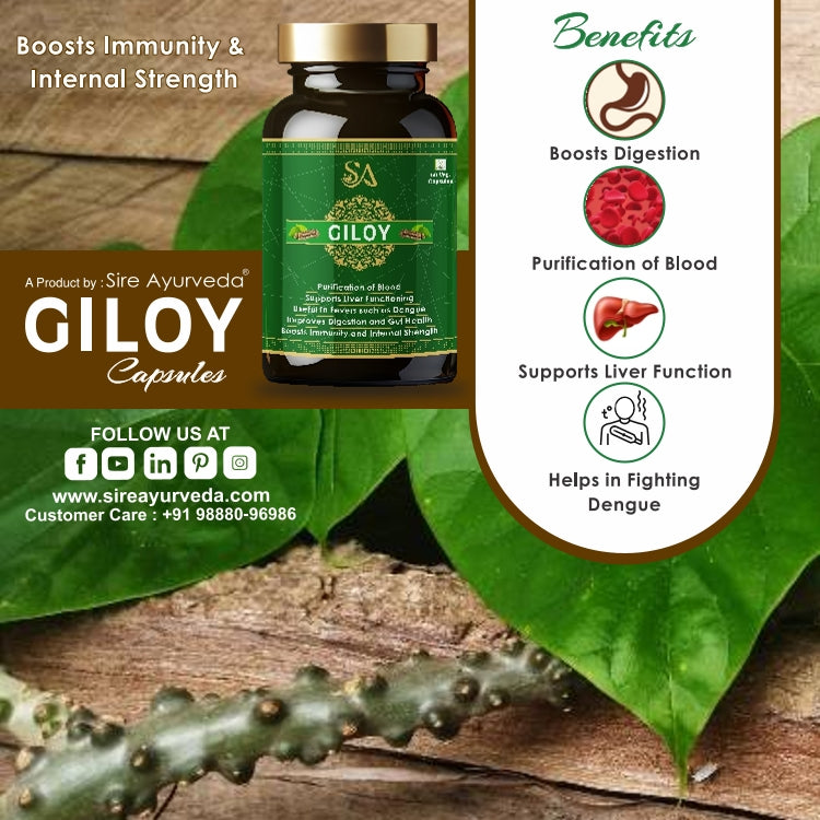 GILOY(Natural/Herbal for Blood Purification, Daily Immunity Boost & Resistance to Infections)
