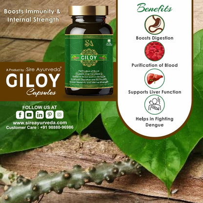 GILOY(Natural/Herbal for Blood Purification, Daily Immunity Boost & Resistance to Infections)