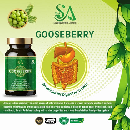 GOOSEBERRY(Improves eyesight, Richest source of vitamin C, Heart health, liver health(60 Capsules))