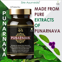 Sire® PUNARNAVA (30 Days Medicine)