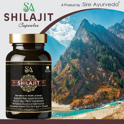 SHILAJIT(Boost Performance, Power, Stamina, Endurance, Strength and Overall Wellbeing for Men)