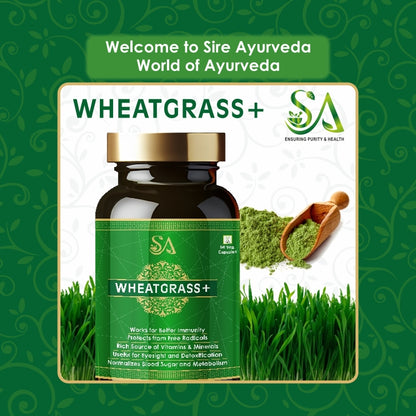 WHEATGRASS+(Effective Weight Management, Natural Detoxification, Anti-Inflammation & Energy Supplement For Men & Women)